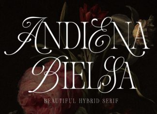 Andiena Bielsa – Hybrid Font preview image 1