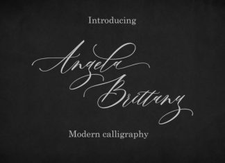 Angela Brittany Font preview image 1