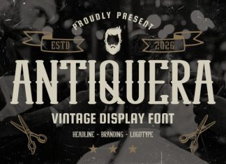 Antiquera Classic Vintage Serif Font preview image 1