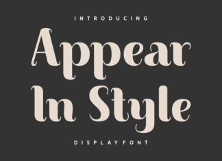 Appear In Style Font preview image 1
