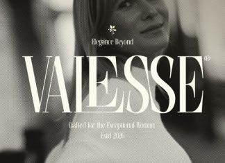 Asferon – Elegant Serif Font preview image 3