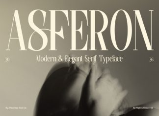 Asferon – Elegant Serif Font preview image 1