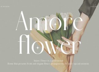 Aslones Modern Luxury Serif Font preview image 3