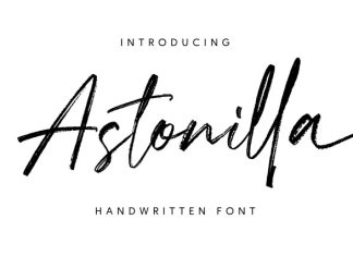 Astonilla – Handwritten Script Font preview image 1