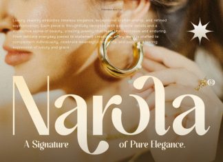 Astrolea – Elegant Sans Serif Font preview image 2