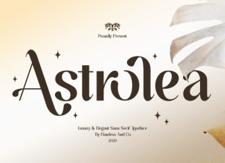 Astrolea – Elegant Sans Serif Font preview image 1