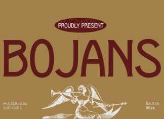 BOJANS FONT preview image 1