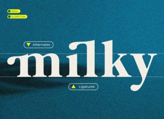 Bailon Font preview image 2