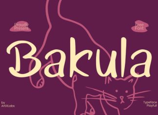 Bakula Font preview image 1