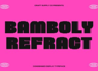 Bamboly Refracted Font preview image 1
