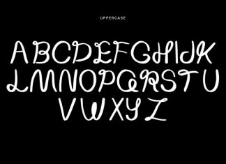 Bamboo Handwritten Font preview image 3