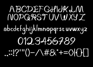 Bamboo Handwritten Font preview image 2