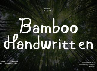 Bamboo Handwritten Font preview image 1