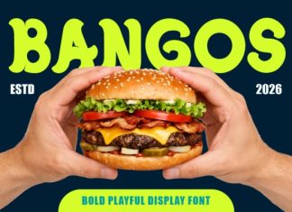 Bangos Bold Playful Display Font preview image 1