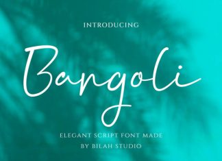 Bargoli Elegant Script Font preview image 1