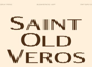 Belgium Refracted – Modern Sans Serif Font preview image 2
