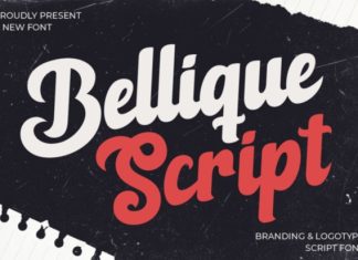 Bellique Logo Script Font preview image 1