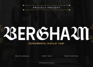 Bergham – Experimental Display Font preview image 1