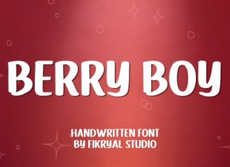 Berry Boy Font preview image 1