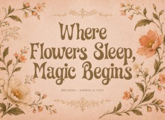 Bhelmora Whimsical Display Font preview image 3