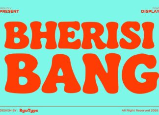 Bherisi Font preview image 1