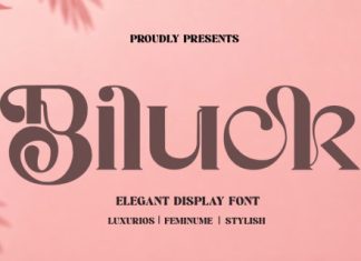 Biluck Font preview image 1