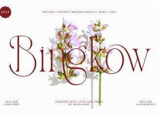 Bingkow Font preview image 1