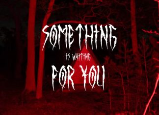 Binsruh – Twisted Horror Font preview image 2