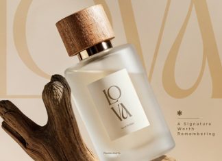 Biora – Elegant Serif Display Font preview image 3