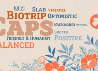 Biotrip Serif Caps Font preview image 1
