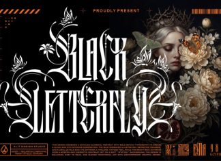 Black Letterfly Font preview image 1