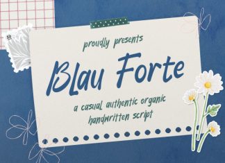 Blau Forte Casual Handwritten Font preview image 1