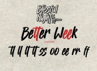 Blissful Night – Quick Brush Font preview image 3