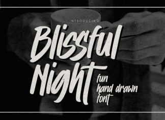 Blissful Night – Quick Brush Font preview image 1