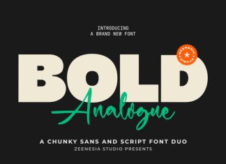 Bold Analogue Font preview image 1