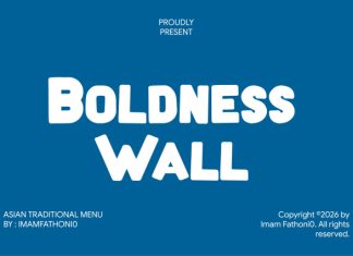 Boldness Wall Font preview image 1