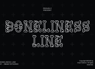 Boneliness Line Font preview image 1