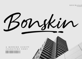 Bonskin Font preview image 1