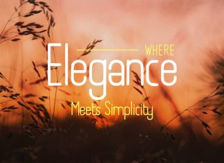Boyanda – Modern Organic Display Font preview image 2