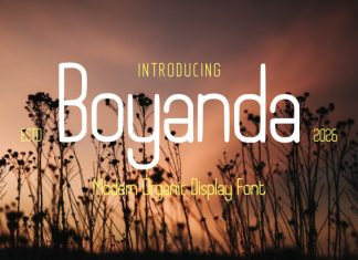 Boyanda – Modern Organic Display Font preview image 1