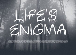 Brabe Creepy Drip Horror Font preview image 2