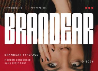 Brandear – Modern Condensed Sans Serif Font preview image 1