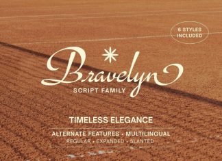 Bravelyn Script Family Font preview image 1