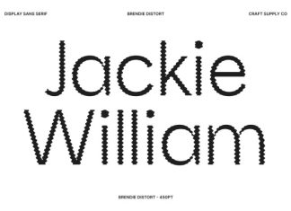 Brendie Distort Font preview image 1