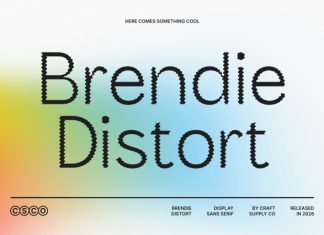 Brendie Distort Font preview image 3