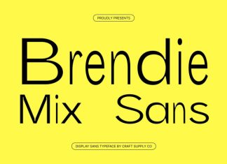 Brendie Mix Font preview image 1