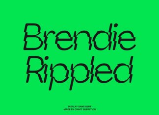 Brendie Rippled Font preview image 1