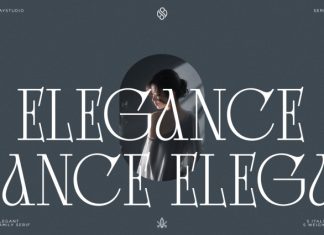 Bright Legacy – Family Luxury Serif Font preview image 3