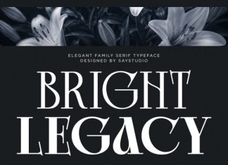 Bright Legacy – Family Luxury Serif Font preview image 1