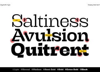 Brikton – Unique Slab Serif Font preview image 2